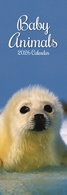 The Gifted Stationary Baby Animals Slimline Kalender 2026