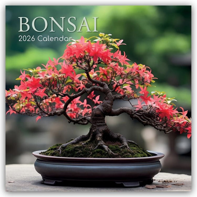 The Gifted Stationary Bonsai Kalender 2026