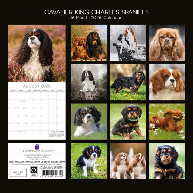 The Gifted Stationary Cavalier King Charles Spaniel Kalender 2026