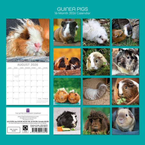 The Gifted Stationary Cavia Kalender 2026