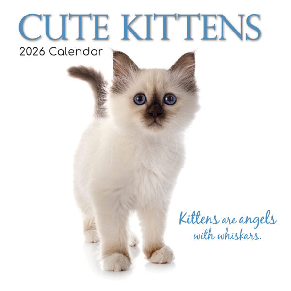 The Gifted Stationary Cute Kittens Kalender 2026