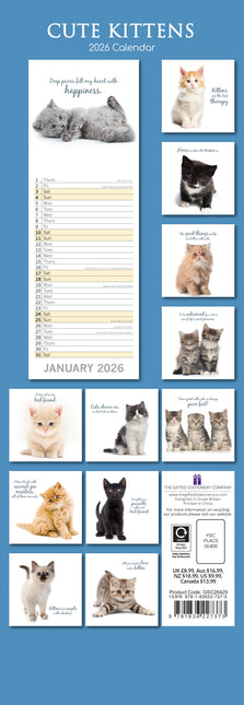 The Gifted Stationary Cute Kittens Slimline Kalender 2026