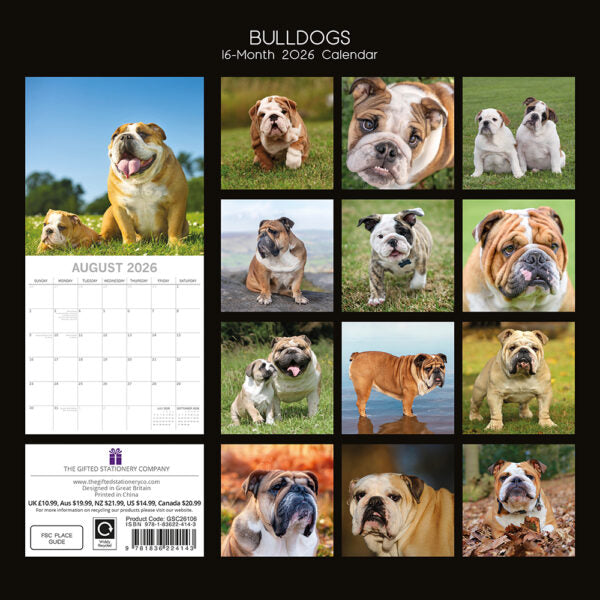 The Gifted Stationary Engelse Bulldog Kalender 2026