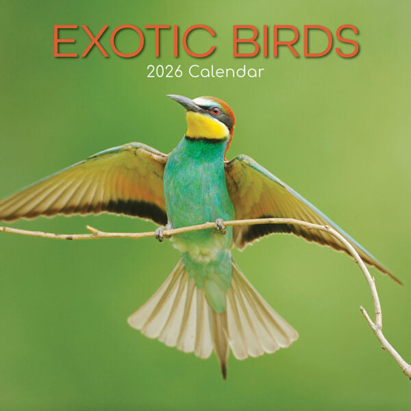 The Gifted Stationary Exotische Vogels Kalender 2026