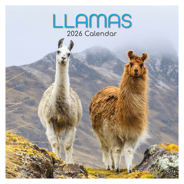 The Gifted Stationary Lama's Kalender 2026