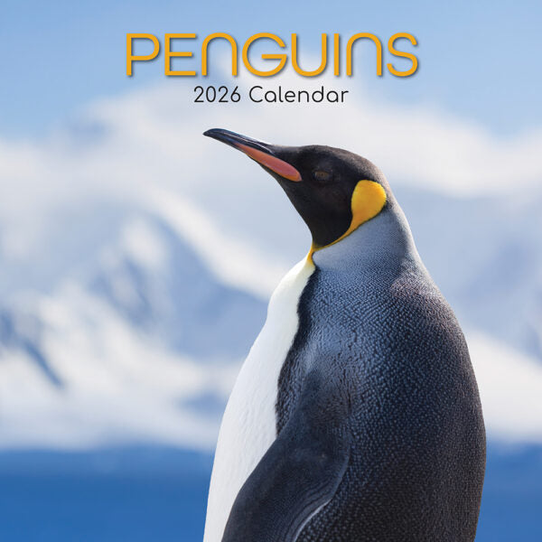 The Gifted Stationary Pinguïn Kalender 2026