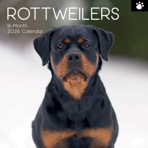 The Gifted Stationary Rottweiler Kalender 2026