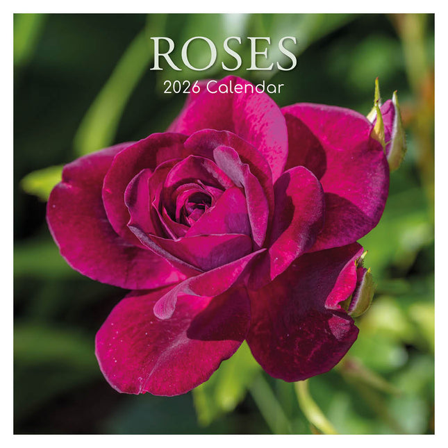 The Gifted Stationary Rozen Kalender 2026