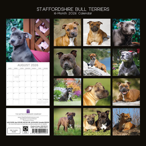 The Gifted Stationary Staffordshire Bull Terrier Kalender 2026