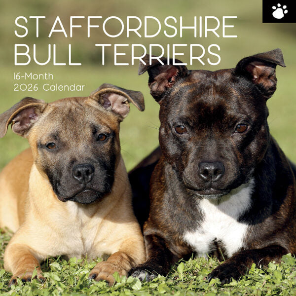 The Gifted Stationary Staffordshire Bull Terrier Kalender 2026