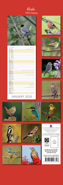 The Gifted Stationary Vogels Slimline Kalender 2026