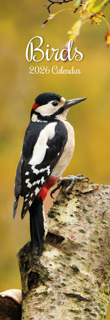 The Gifted Stationary Vogels Slimline Kalender 2026