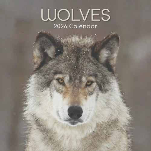 The Gifted Stationary Wolven Kalender 2026