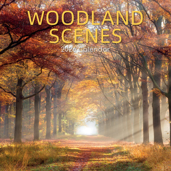The Gifted Stationary Woodland Scenes Kalender 2026