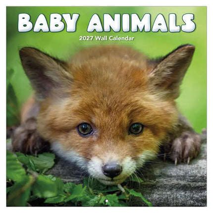 TL Turner Baby Animals Kalender 2027