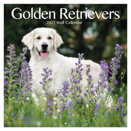 TL Turner Golden Retriever Kalender 2027