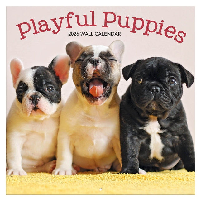 TL Turner Playful Puppies Kalender 2026