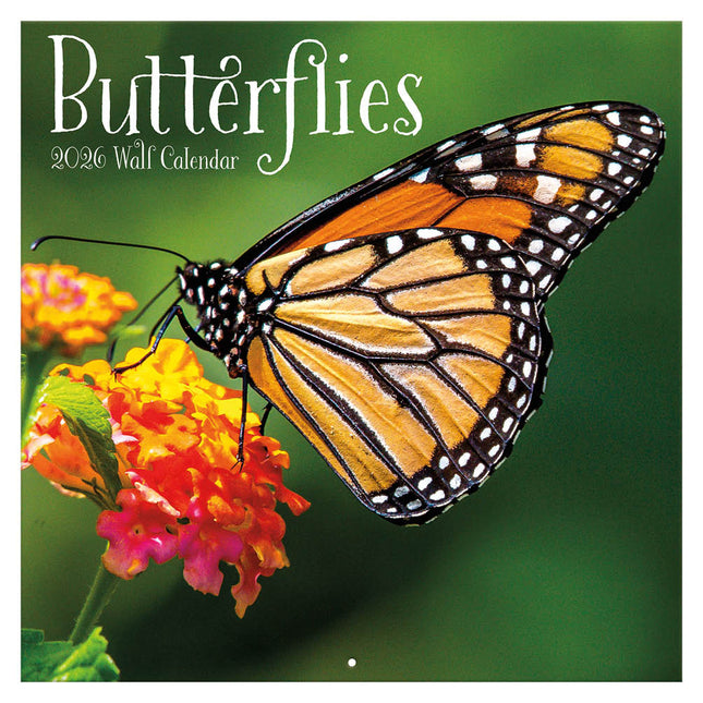 TL Turner Vlinder Kalender 2026