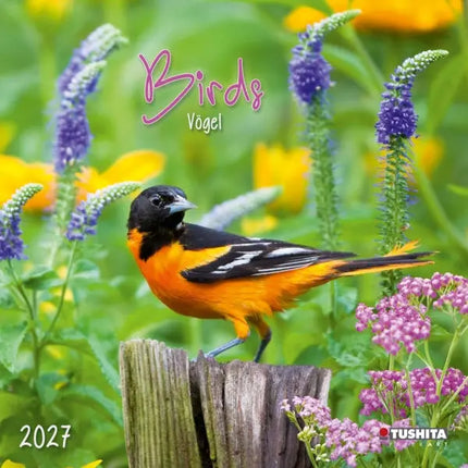 Tushita Vogels Kalender 2027
