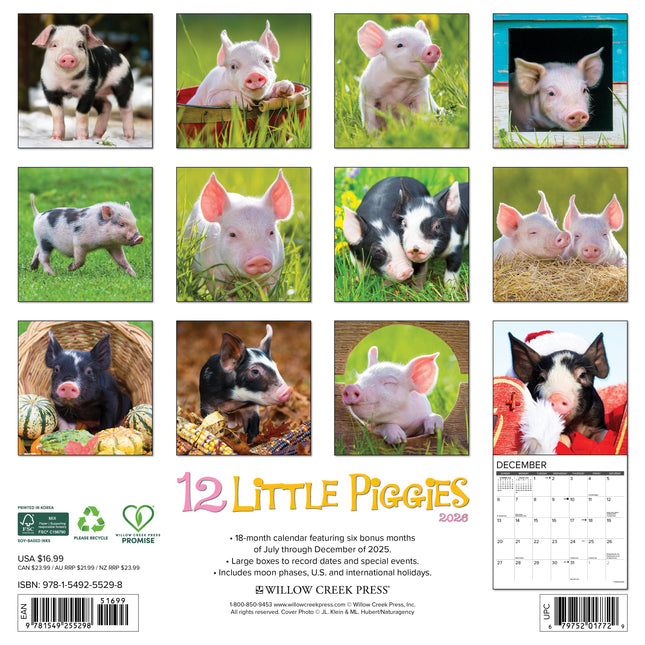Willow Creek 12 Little Piggies Kalender 2026