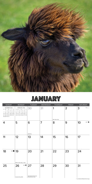 Willow Creek Alpacas Kalender 2026