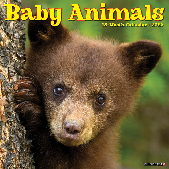 Willow Creek Baby Dieren Kalender 2026