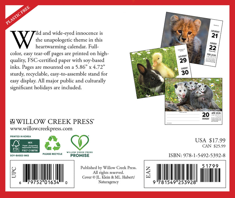 Willow Creek Baby Dieren Scheurkalender 2026 Boxed