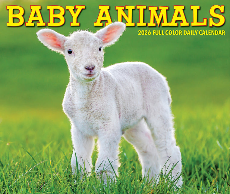 Willow Creek Baby Dieren Scheurkalender 2026 Boxed