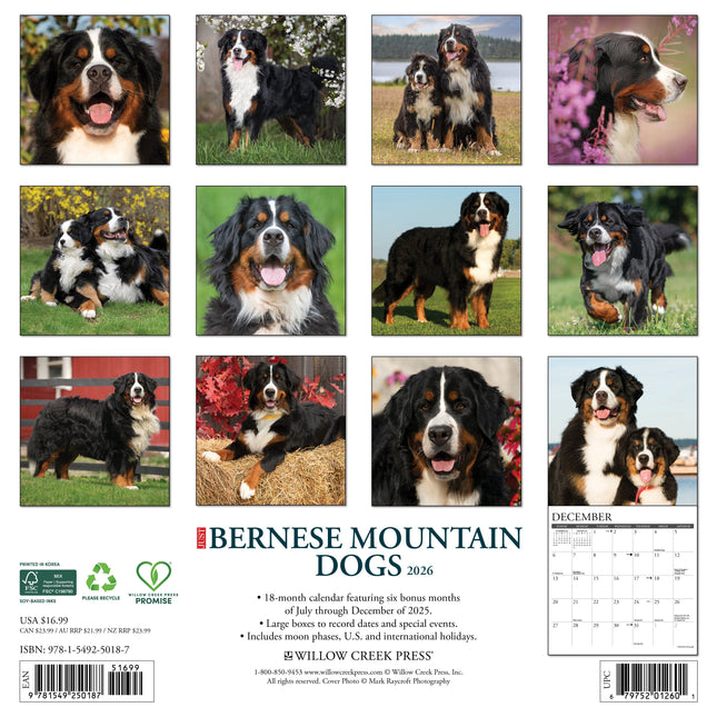 Willow Creek Berner Sennen Kalender 2026