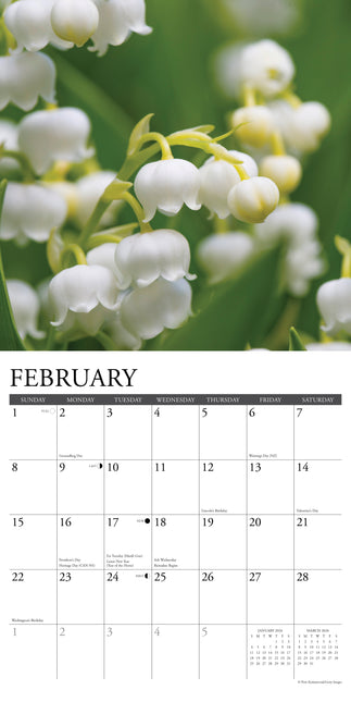 Willow Creek Bloemen Kalender 2026