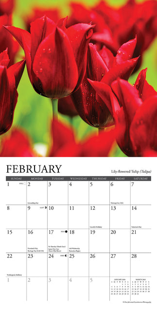 Willow Creek Bloemen Kalender 2026 Mini