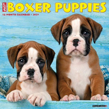 Willow Creek Boxer Puppies Kalender 2027