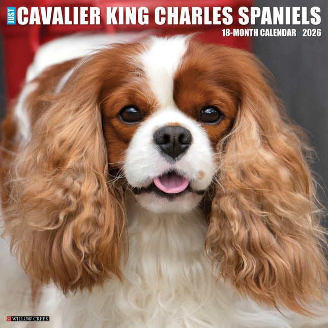 Willow Creek Cavalier King Charles Spaniel Kalender 2026