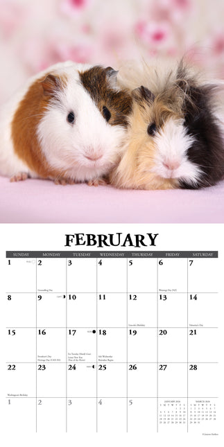 Willow Creek Cavia Kalender 2026