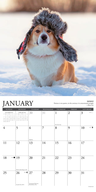 Willow Creek Corgi Rules Kalender 2026