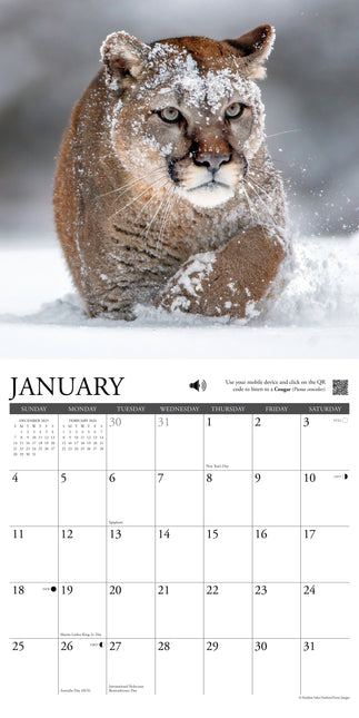 Willow Creek De Wildernis Kalender 2026