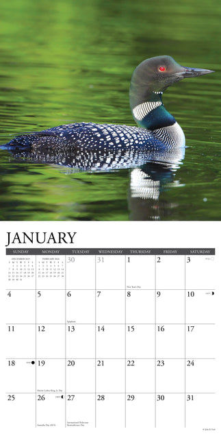 Willow Creek Eenden Kalender 2026