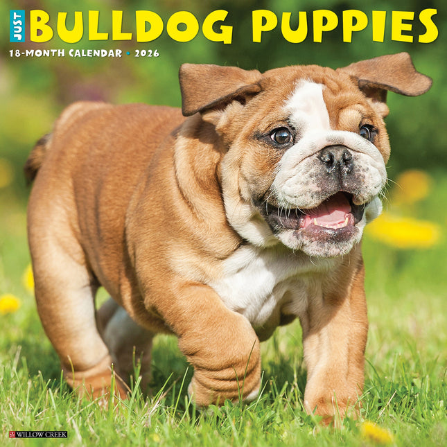 Willow Creek Engelse Bulldog Puppies Kalender 2026