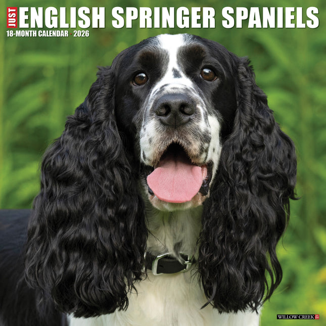 Willow Creek Engelse Springer Spaniel Kalender 2026