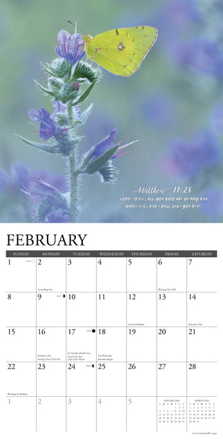 Willow Creek Gods Palet Kalender 2026