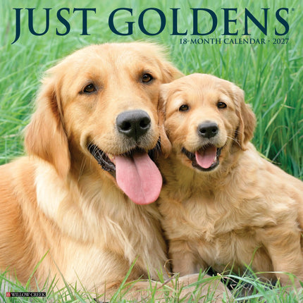 Willow Creek Golden Retriever Kalender 2027