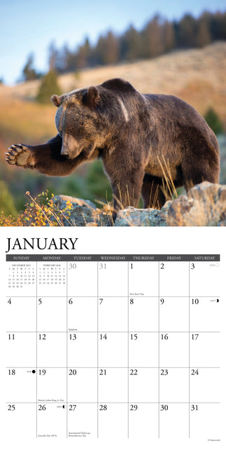 Willow Creek Grizzlies Kalender 2026