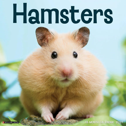 Willow Creek Hamsters Kalender 2027