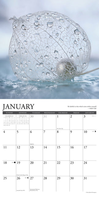 Willow Creek Inspiratie Kalender 2026