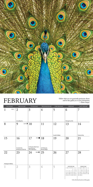 Willow Creek Inspiratie Kalender 2026 Mini