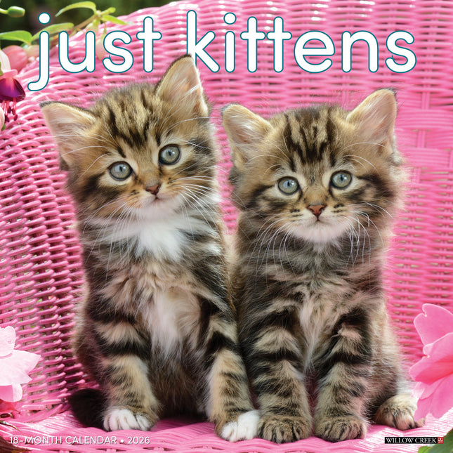 Willow Creek Kittens Kalender 2026