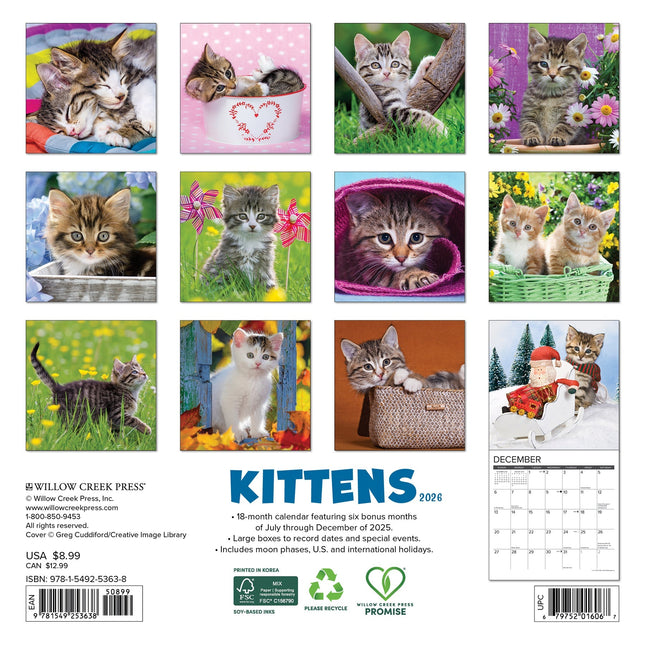 Willow Creek Kittens Kalender 2026 Mini