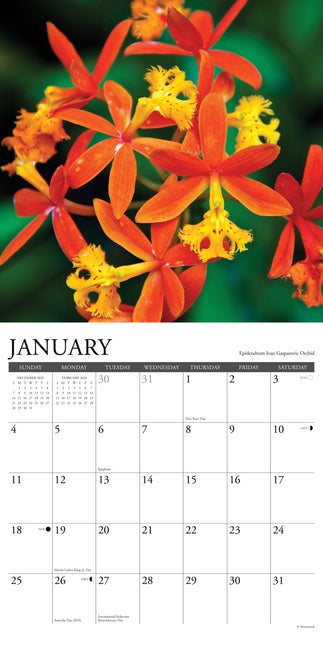 Willow Creek Orchidee Kalender 2026