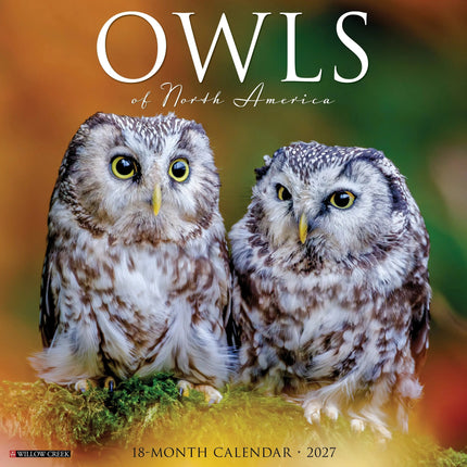 Willow Creek Owls of North America Kalender 2027