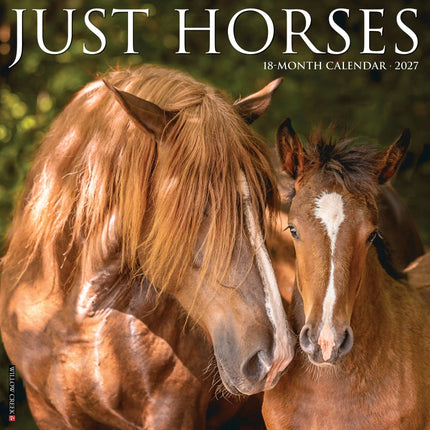 Willow Creek Paarden Kalender 2027